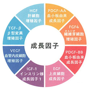 PDF-FD療法とは?