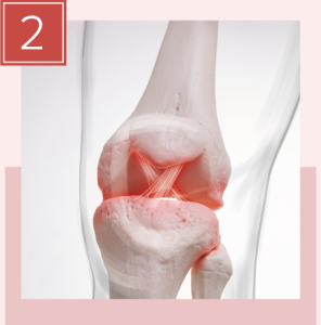 成長因子に期待できる効果