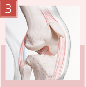 成長因子に期待できる効果